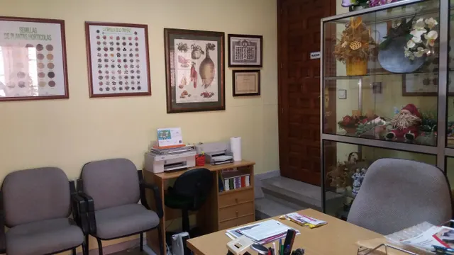 ALQUILER LOCAL COMERCIAL EN MOZONCILLO — 6