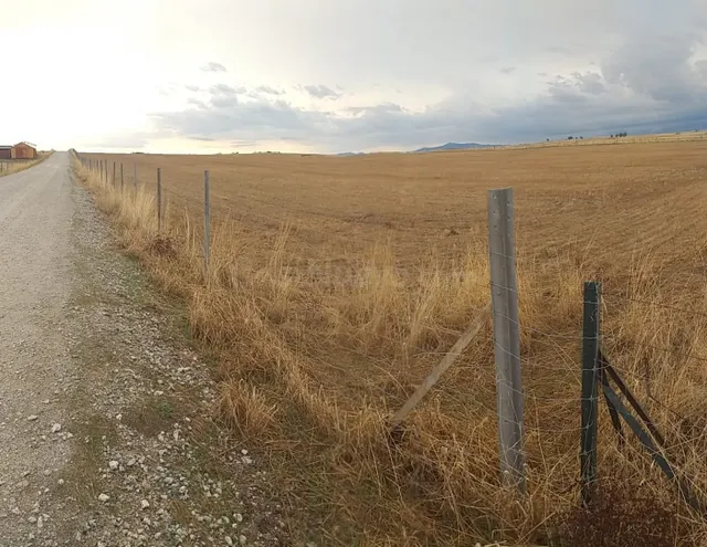 Parcela grande y llana en Sierra de Fuentes - foto 2