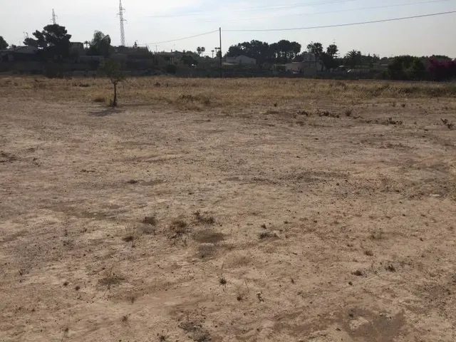 Parcela urbana de casi  30.000m2 en Elche - Zona Pena Las Aguilas — 16