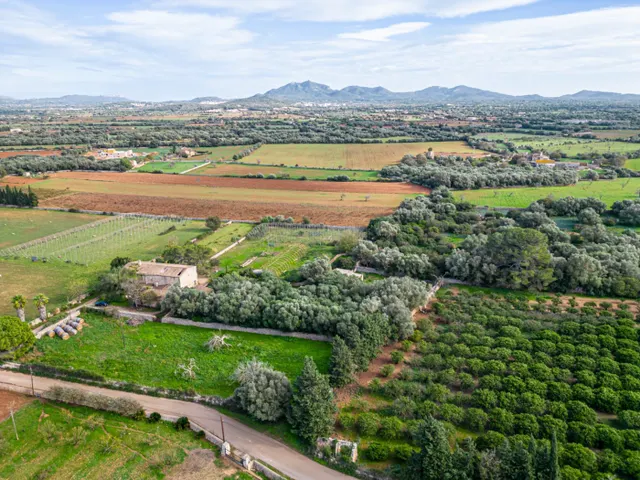 Magnifica finca rústica en la zona de Porreres. — 6