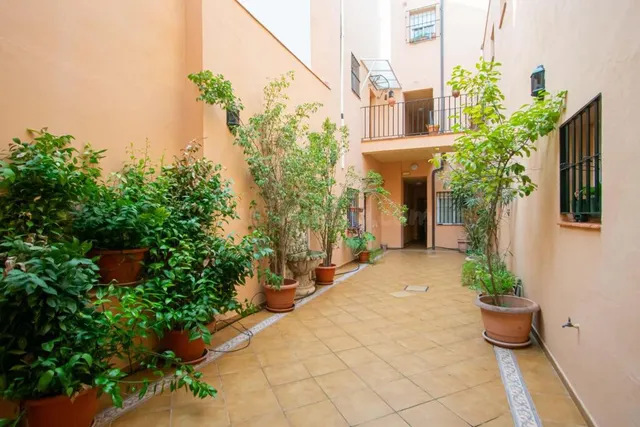 Precioso apartamento junto Calle Feria!!! — 2