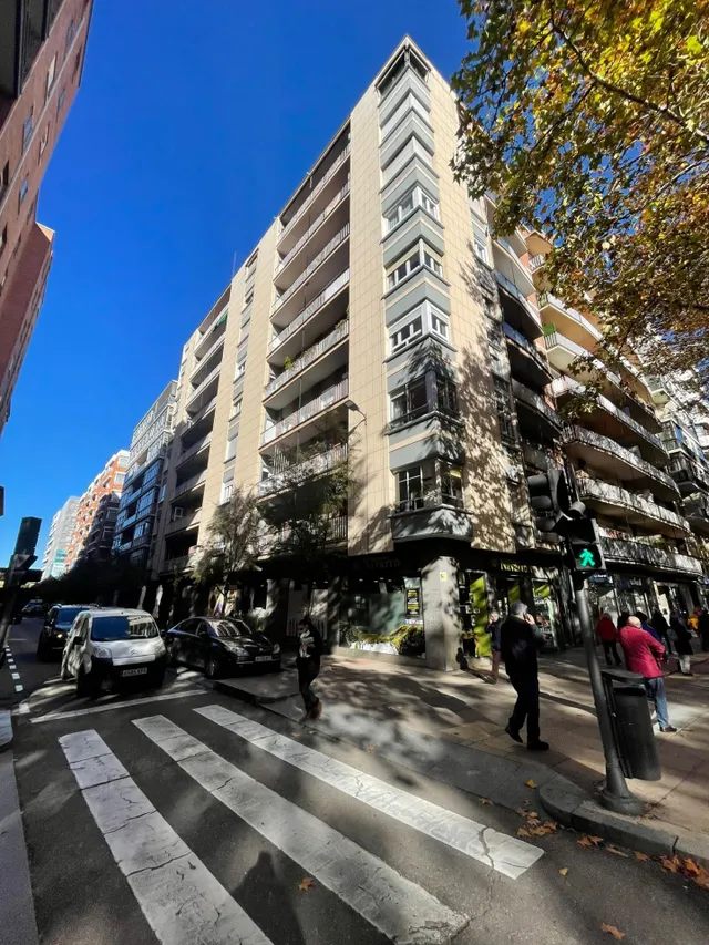 EN EL MISMO PASEO ZORRILLA — 11