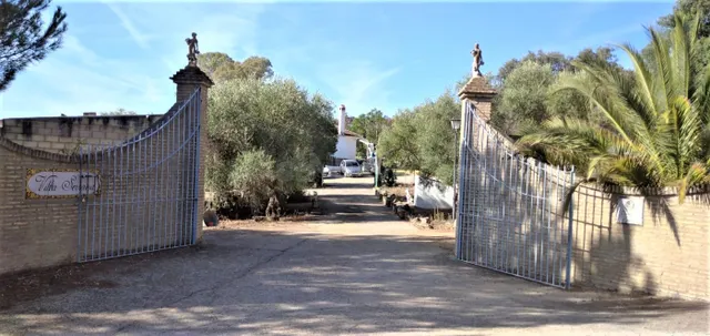 FINCA EN CASTIBLANCO DE LOS ARROYOS, SEVILLA. - foto 3