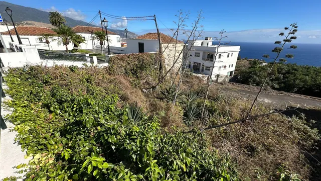 OPORTUNIDAD ÚNICA: GRAN FINCA DE 31.000 M2, secciones URBANA, RÚSTICA, ASENTAMIENTO RURAL Y AGRÍCOLA — 36