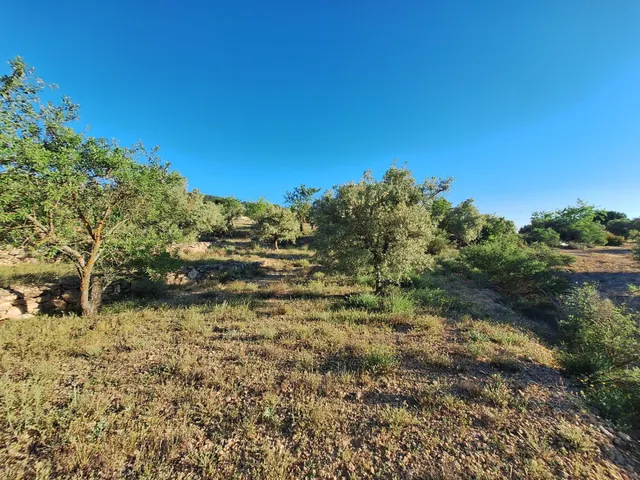 Terreno rústico a solo 3 km de Biar | Posibilidad de construir vivienda y conectar a agua y electricidad — 6