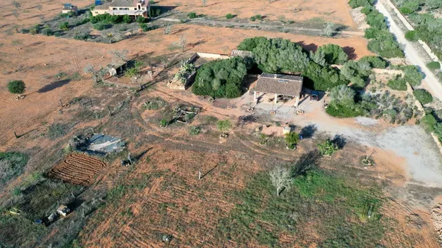 Finca rústica de 35.000 m2 con casa y porche en Llucmajor - foto 2