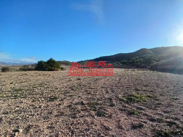 ¡¡ PRECIOSA PARCELA DE 20.300 M2 EN HONDÓN FRAILES !! — 3