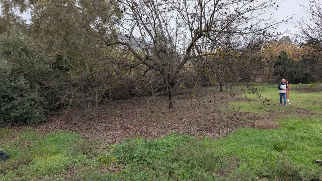 Parcela en venta - Puerto Sol-Los Almendros-El Tomillar — 7