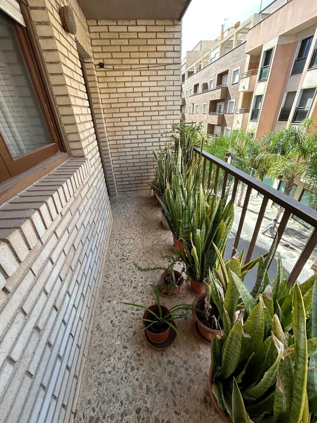 4 DORMITORIOS + 2 BAÑOS EN EL CORAZÓN DE EL EJIDO — 12