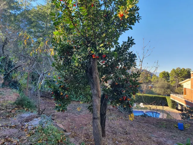 TERRENO URBANO EN VENTA EN URB CAN TAIO DE 1.048 M2 — 35
