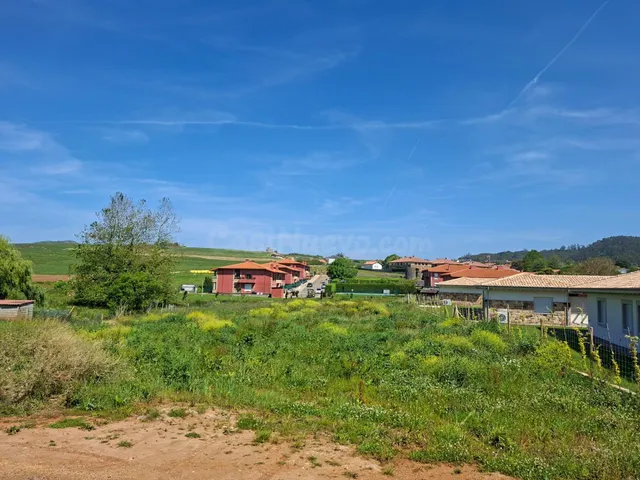 Exclusiva finca urbana en Caborredondo a tan solo1 km de la  - foto 3
