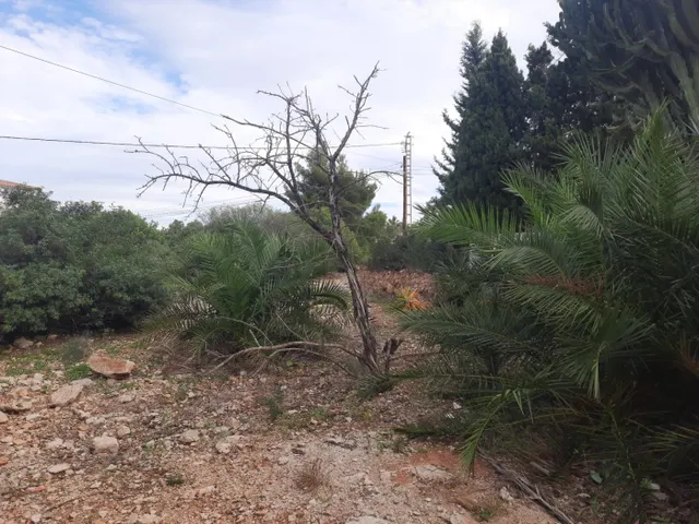 Parcela con vistas en galeretes — 11