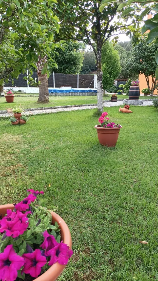 Chalet con jardín y piscina en Leiro — 6