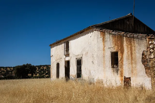 Finca mixta de 140 hectáreas con cortijo en suelo urbano en  - foto 5