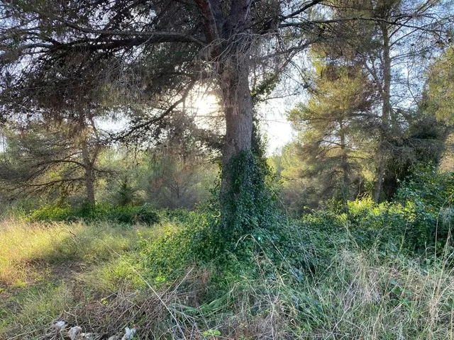 OPORTUNIDAD ENORME TERRENO EN VENTA POR 150.000€ — 14