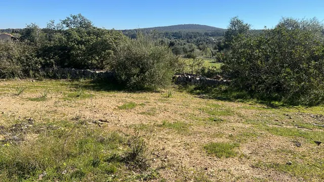 Se vende finca rústica con caseta en Marratxí — 9