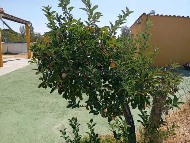 Casa de campo en El Pradillo — 12