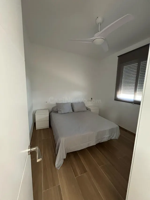 Parcela con casa y piscina en Torrepalma — 5