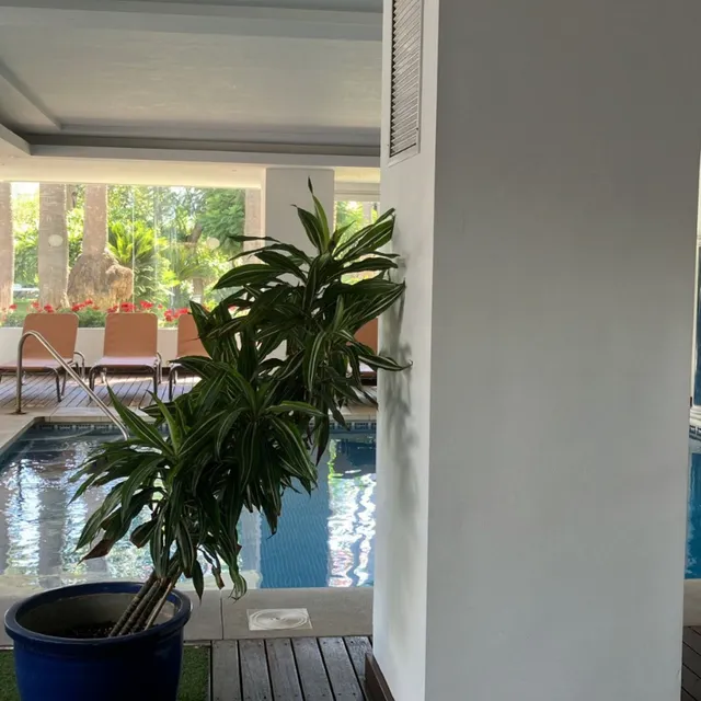 Apartamento 3 habitaciones 145m² en venta - Marbella — 12