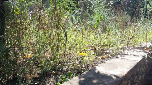 BONITA PARCELA EN CAN RIAL DE ESPARRAGUERA A 30' DE BARCELONA — 8