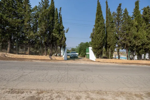 Encanto rústico con casita y olivos en Moraleja de Zafayona — 44