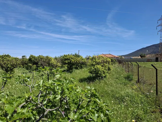 Terreno rústico de 3.413 m2 en Alhaurín de la Torre para proyectos rurales — 16