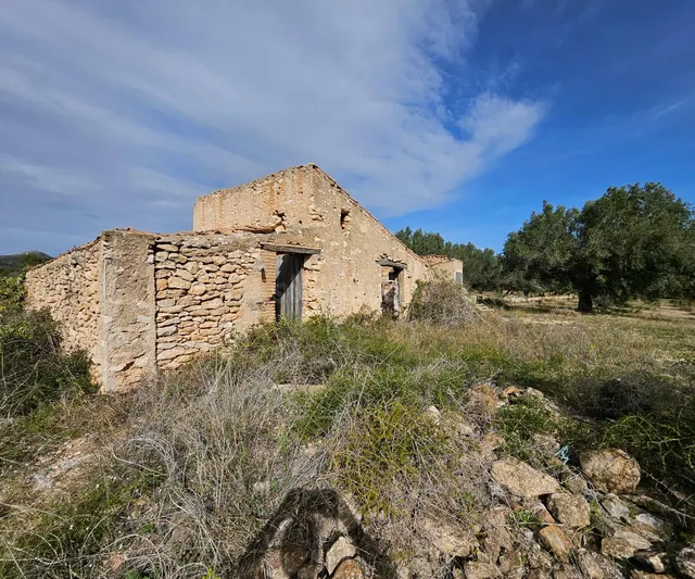 Finca Rústica de 6,5 hectáreas, plana, con casa de campo de 150 M2 — 4