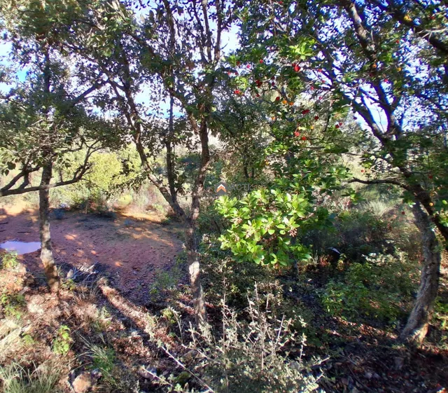 TERRENO RUSTICO CERCA DEL PORTANCHITO - foto 3