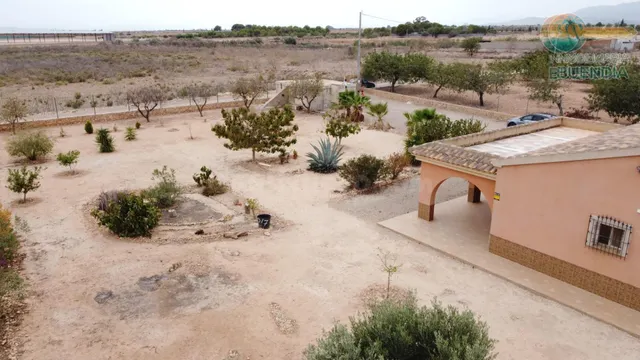 FINCA CON TERRENO Y APARTAMENTO INDEPENDIENTE CERCA DE AEROP - foto 5