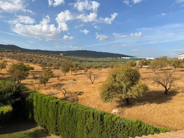 ENCANTADORA CASA EN MOLLINA, LISTA PARA ENTRAR A VIVIR¡¡¡¡¡¡¡¡¡¡¡ — 38