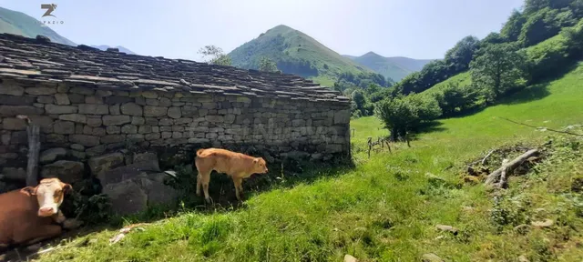 CABAÑA PAREADA EN VEGA DE PAS