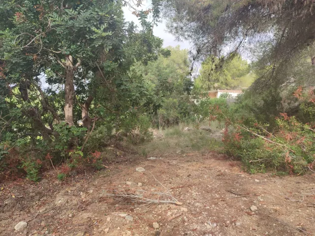 TERRENO RÚSTICO EN VENTA URB. TORRE DEL VEGUER, MAS PARES DE DALT — 5