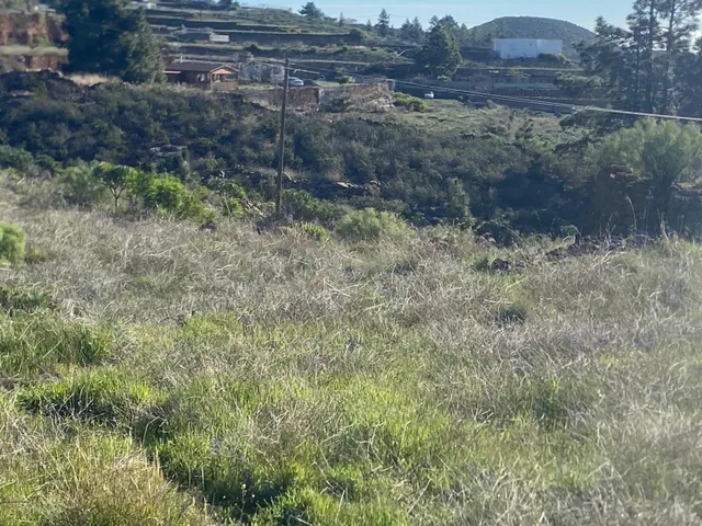 Preciosa finca de 6.889 m2 en Granadilla de Abona - foto 4