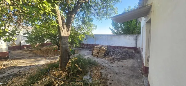 Villanueva del Río y Minas (Sevilla) | Casa con amplio patio - foto 5