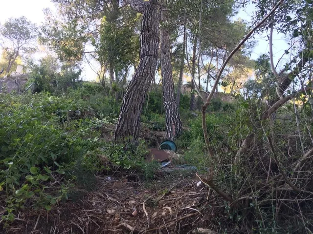 PARCELA URBANA DE 800 M2 EN VENTA EN VALLIRANA — 11