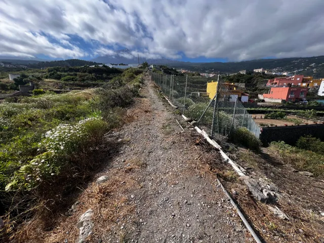 FINCA RÚSTICA CON ESTANQUE Y CUARTO DE APEROS EN ICOD DE LOS VINOS — 37