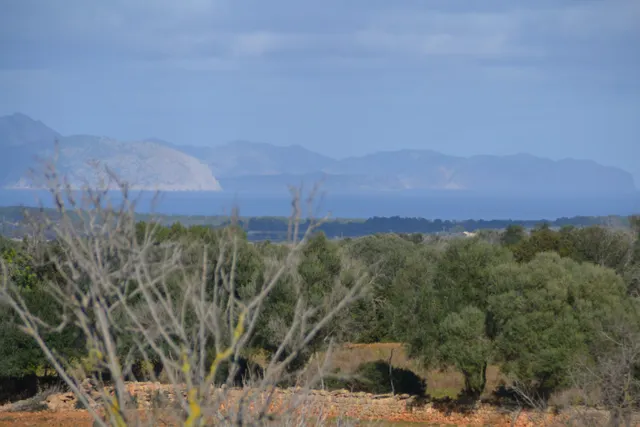 Finca rústica en Manacor — 16