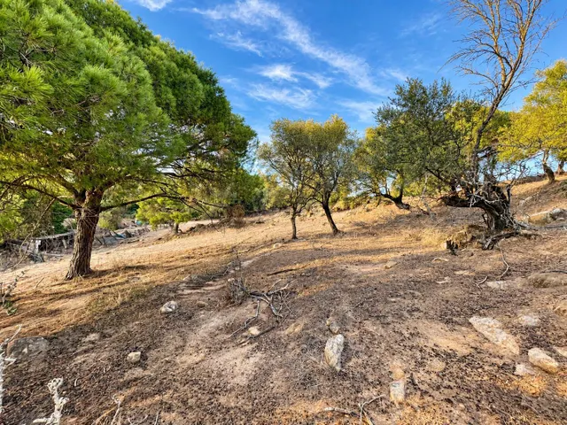 Finca rústica de 18.444 m2 con pozo y construcción catastrada en Alcalá de los Gazule — 35