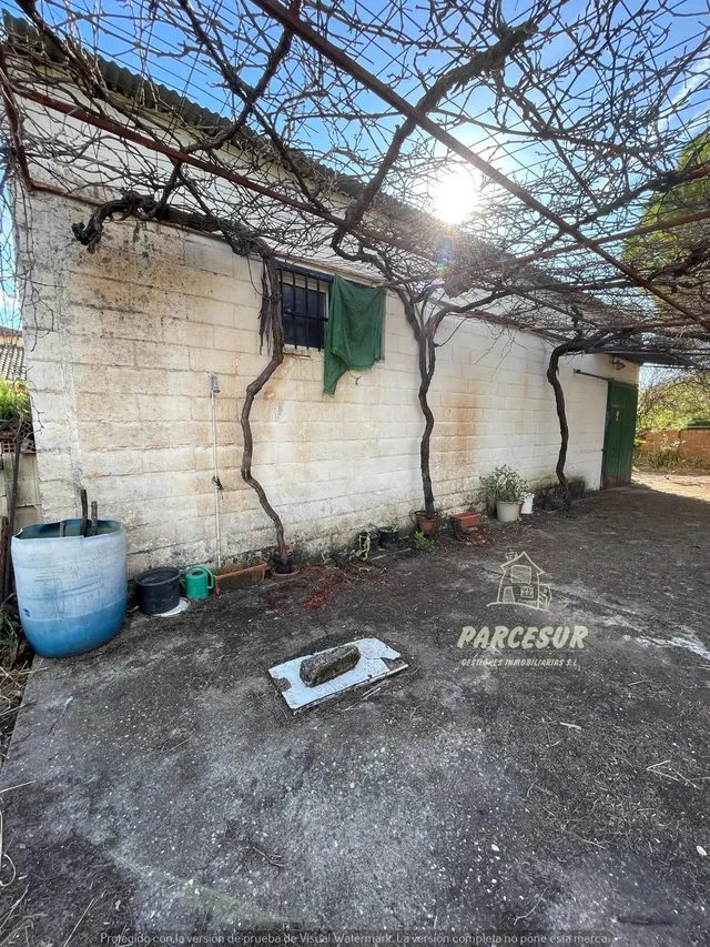 PARCELA DE TERRENO DE 3.000 M2 CON POZO Y LUZ DE ENDESA - foto 2
