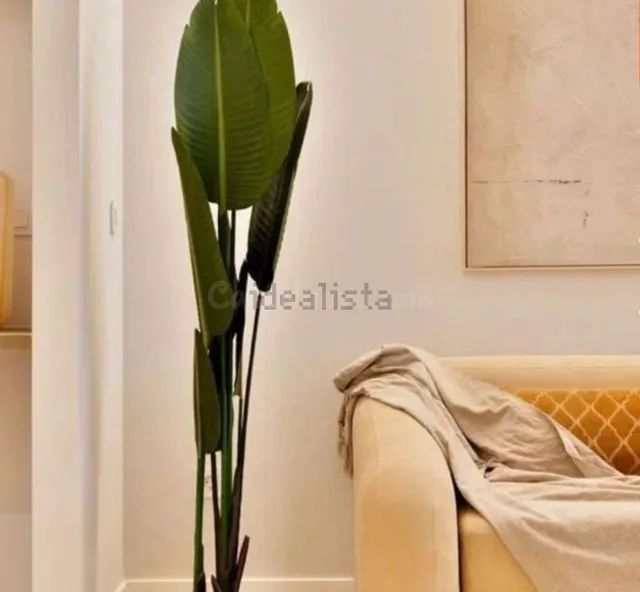 Planta baja 2 habitaciones 116m² en alquiler - Marxalenes - foto 4