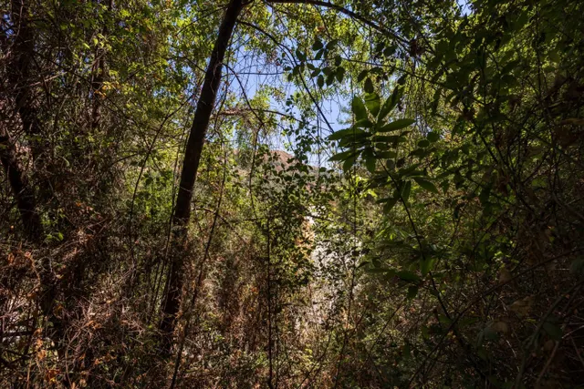 Terreno rural en Guejar Sierra zona Los Arroyos — 12
