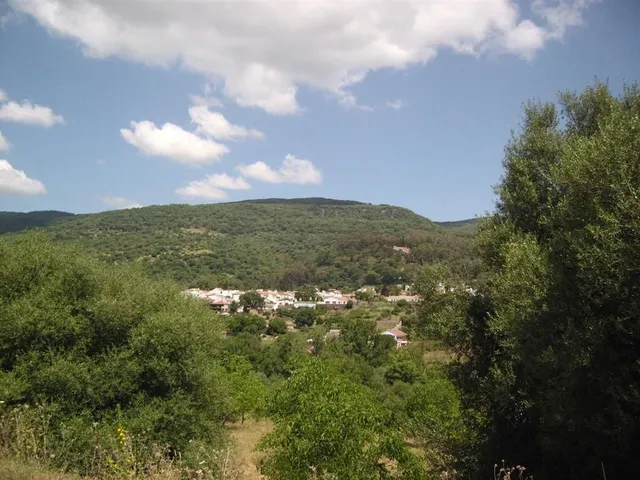 Parcela en venta - El colmenar cortes de la frontera — 6