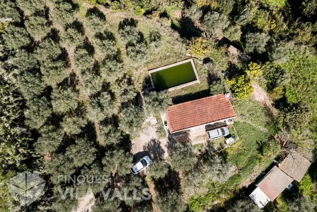Finca rústica de 19.000 m2 con casa, olivos y pozo en Caldes de Montbui — 4