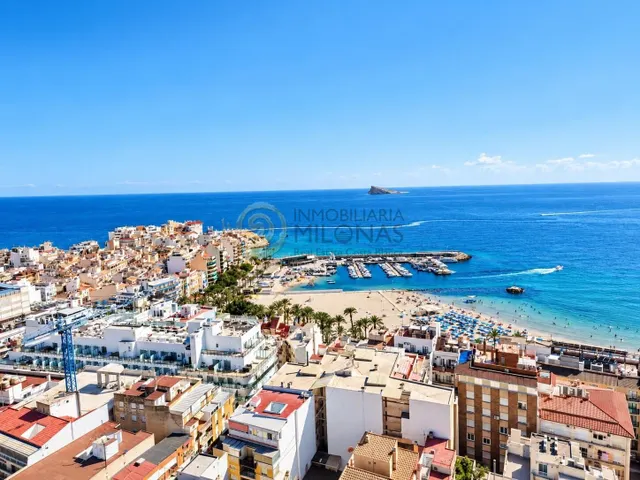 ✨ ¡TU NUEVO HOGAR EN EL CORAZÓN DE BENIDORM! ✨ — 31