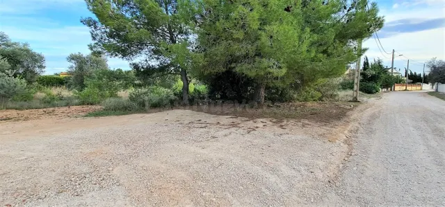 2 PARCELAS EN 1 COMPLETAMENTE LLANAS CON UN TOTAL DE 2300M2 — 3