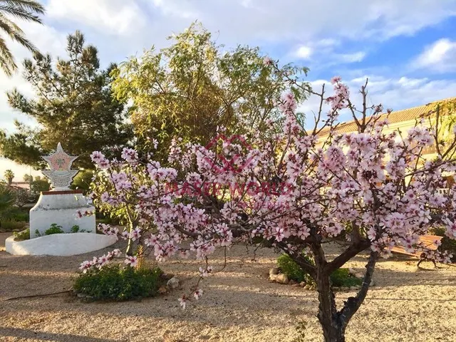 VILLAS DE OBRA NUEVA EN LOS URRUTIAS, MURCIA — 31