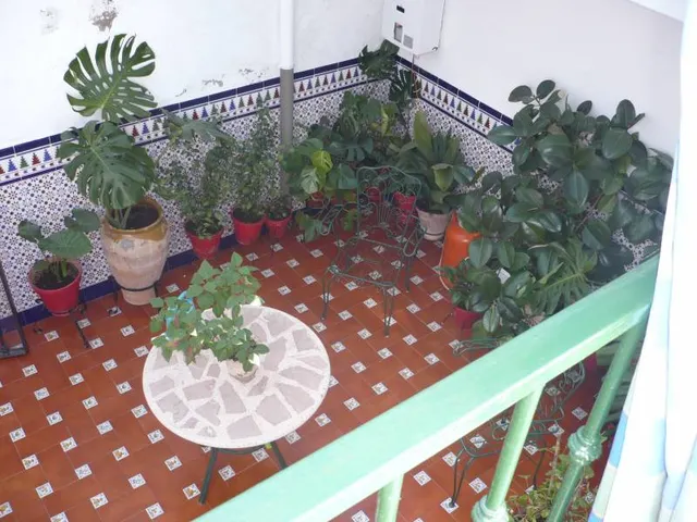 CASA DE PUEBLO EN PARQUE NATURAL — 14