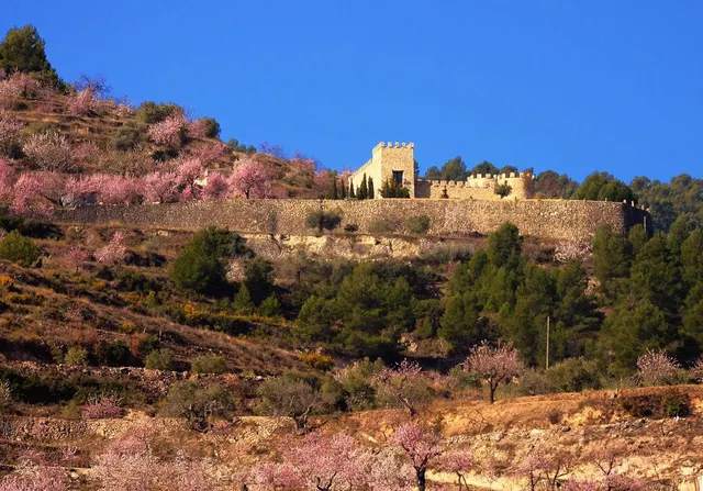 Finca con aspecto de castillo y 40.000 m2 terreno en Relleu - foto 2