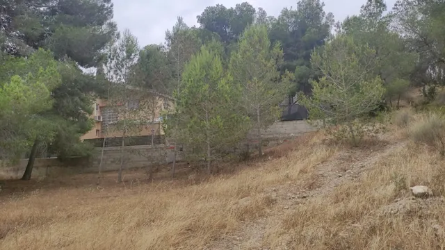 LA MEJOR PARCELA DE ALTORREAL — 9