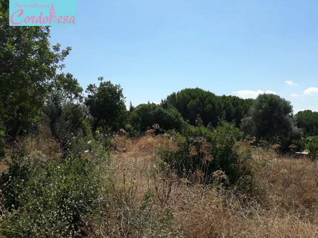 PARCELA EN LA MEJOR ZONA DE LA CARRERA EL CABALLO — 4